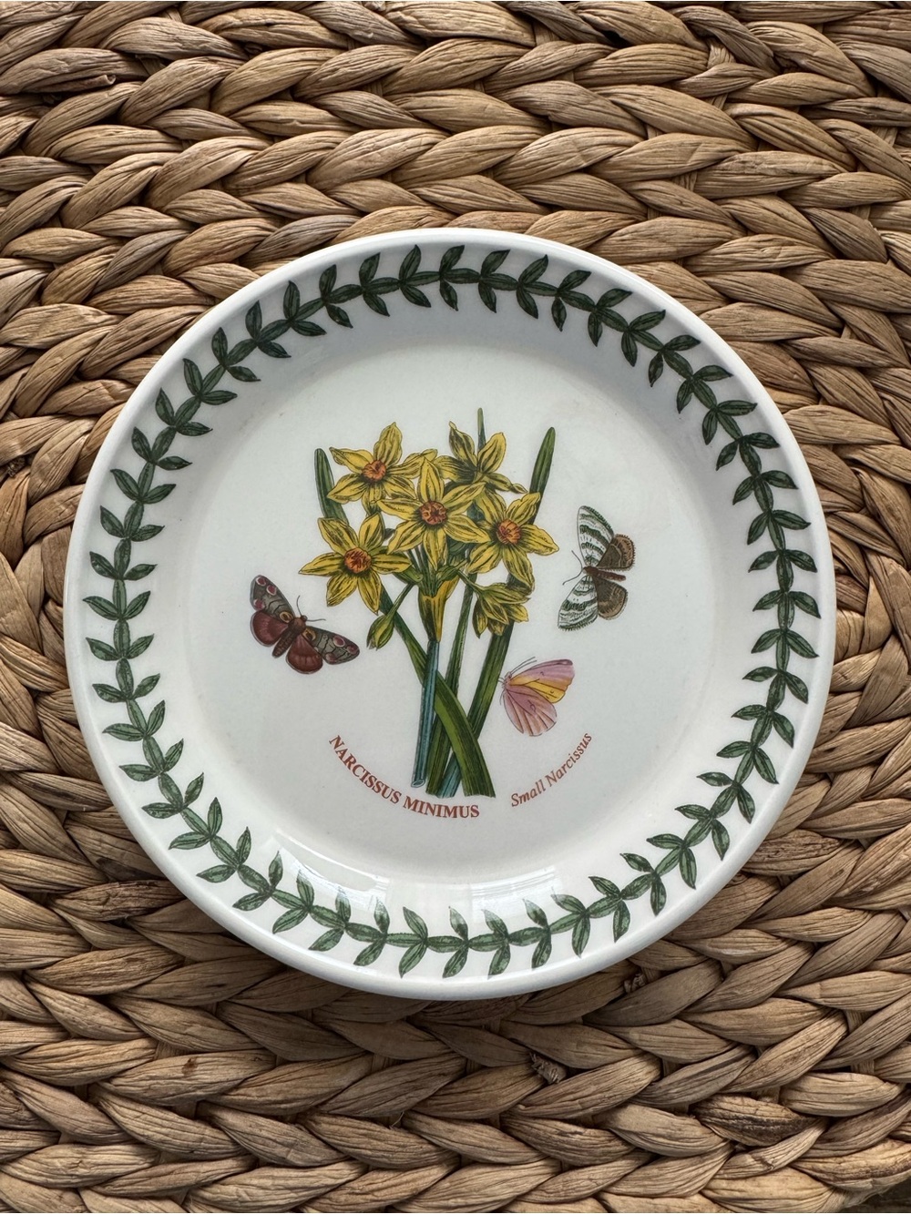 Vintage Portmeirion Botanic Narcissus Minimus Side Desert Plate 6”